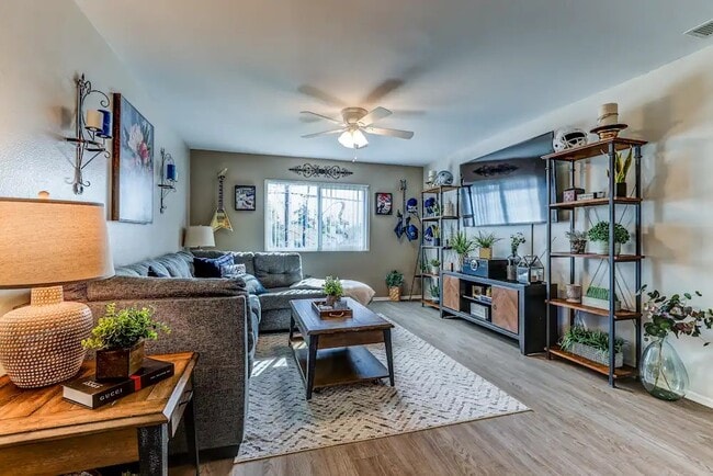 Photo - Palm Central South