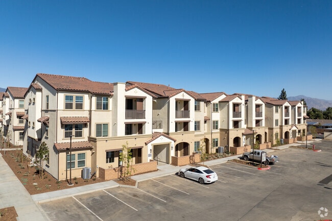 Building Photo - The Kingsley Luxury Apartments