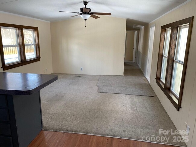 Photo - 116 Tulip Tree Ct