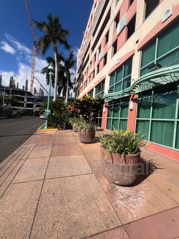 Photo - 801 S King St Unidad One Archer Lane Rental