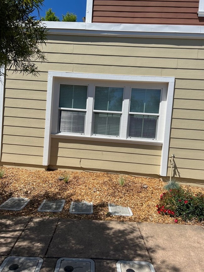 Photo - Studio in North East Santa Rosa