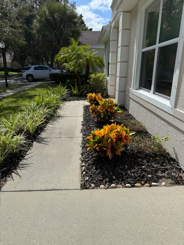 Photo - 47 St Andrews Ct Casa