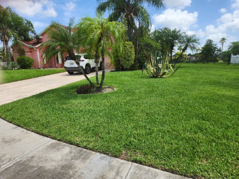 Photo - 18241 Plumbago Ct