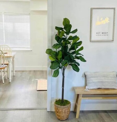 Photo - 2604 Dauphin St Unidad 202