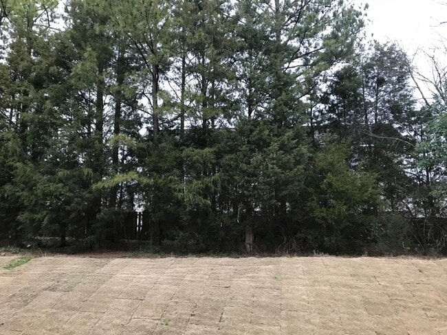 Photo - 13541 Browhill Ln