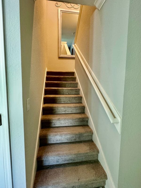 Photo - 1016 Cascade Dr