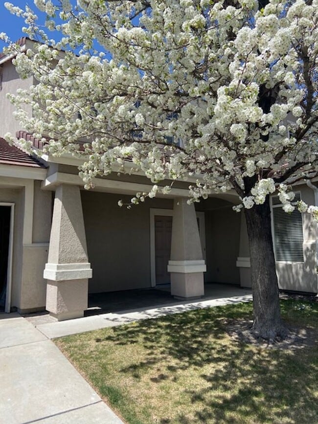 South Reno - Double Diamond Stunner - Tons of Amenities! - South Reno - Double Diamond Stunner - Tons of Amenities!