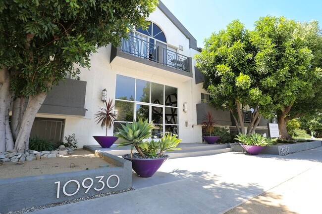 Merlot NoHo