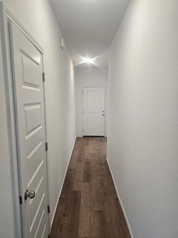 Photo - 1825 Spanish Cedar Ln