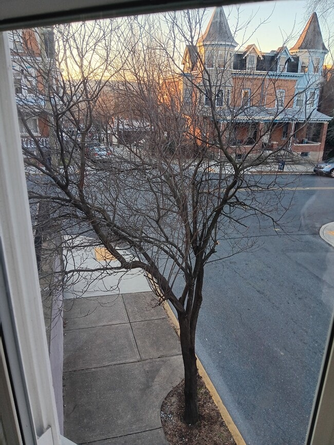 Beautiful Pink Flower Tree - 1225 W Walnut St Unit Apt. 1