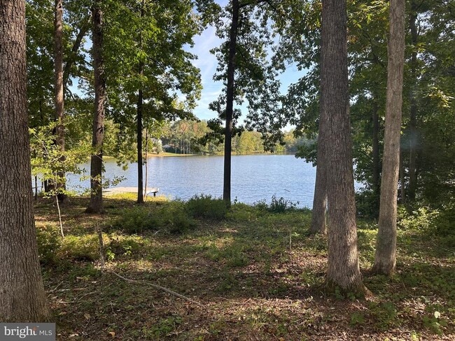 Photo - 12102 Wilderness Park Dr