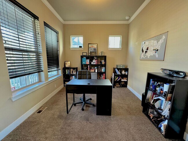 Photo - Spacious Backyard