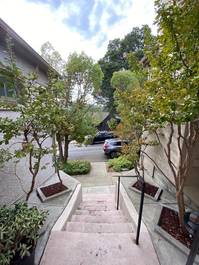 Photo - 1242 Susana Street