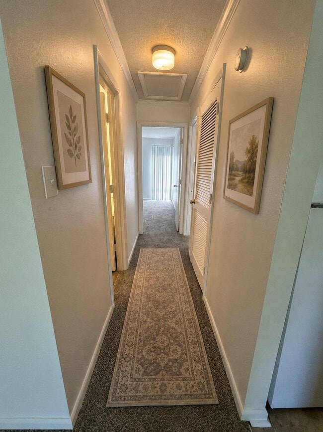 Ai Furnished Hallway - Castlewood Apartments
