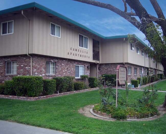 Camellia Apartments - Camellia Apartments
