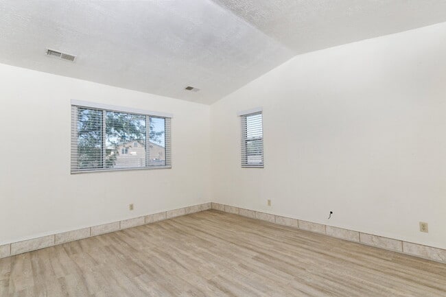 Photo - Lots of space for you and your dog!