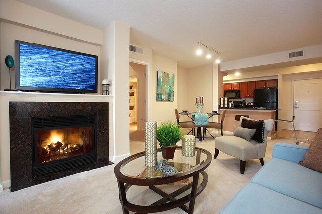 Apartments For Rent With 3 Beds In Washington Dc Forrent Photo 1301 Thomas Circle