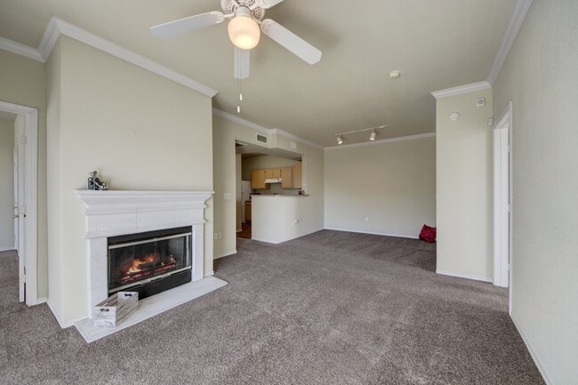 Photo - Woodland Park