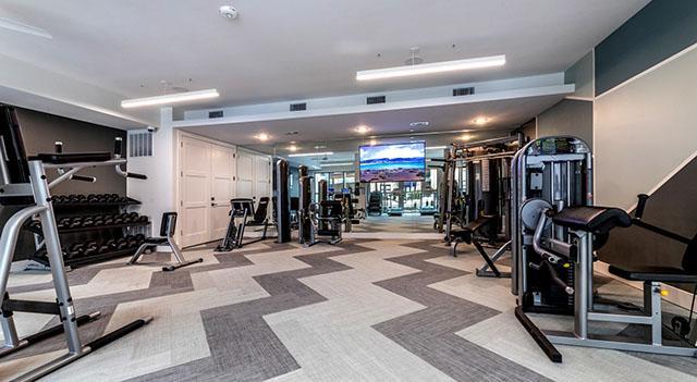 Photo - 1 bedroom in Dallas TX 75235