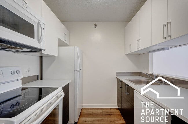 Building Photo - 1133 N Dearborn St Unit 903 Rental