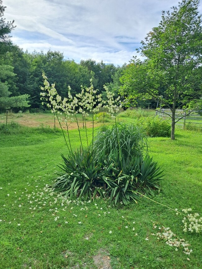28 Taryn Dr Unit 1