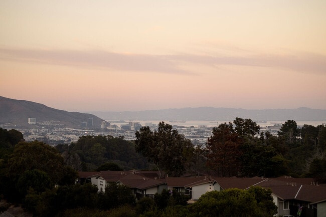 Crystal Springs Terrace
