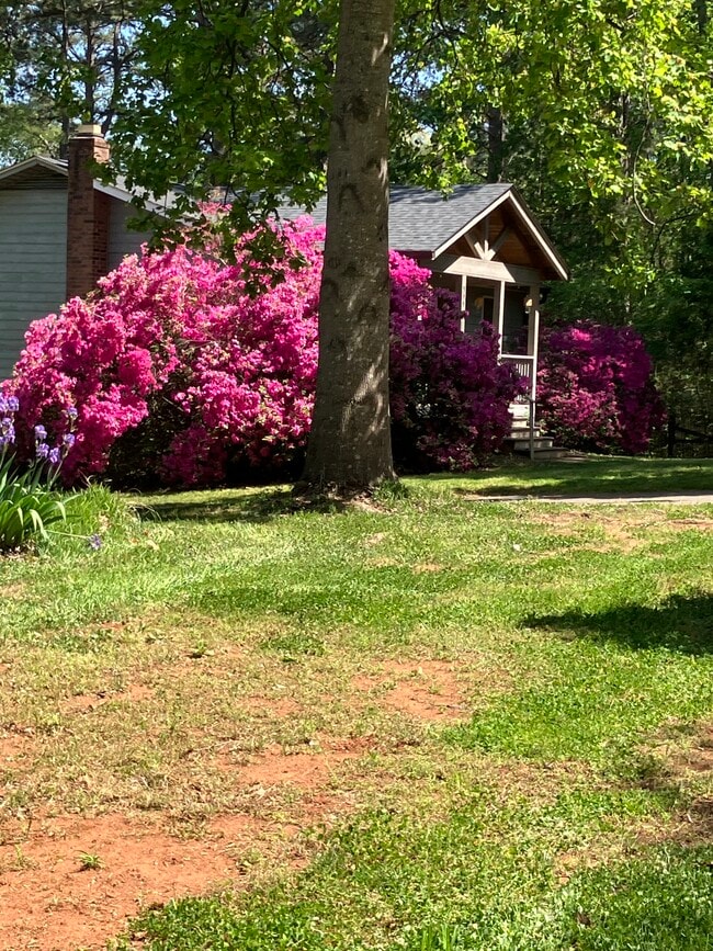 Photo - 100 Lude Johnson Blvd