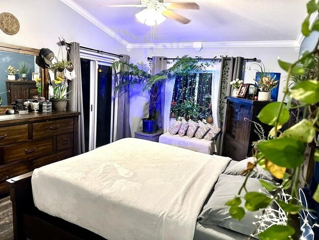 Photo - 27018 Coral Springs Dr