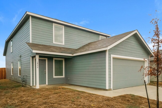 Photo - 1866 Musk Rose