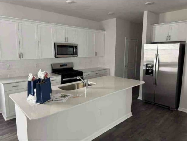 Photo - 553 Lemon Daisy Ln