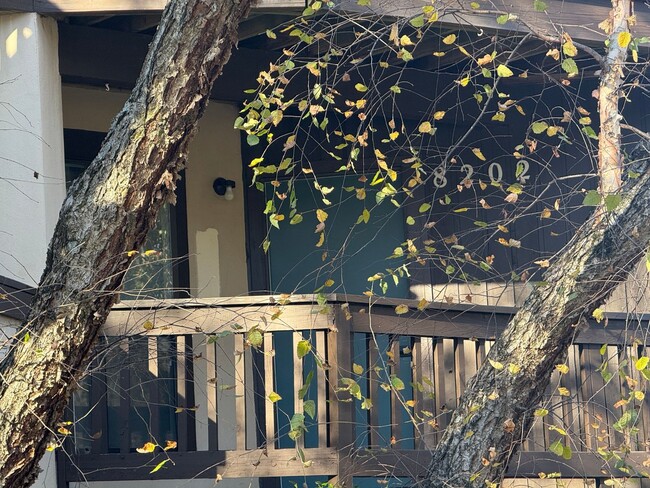 Building Photo - Beautiful Condo minutes from Uptown Charlotte