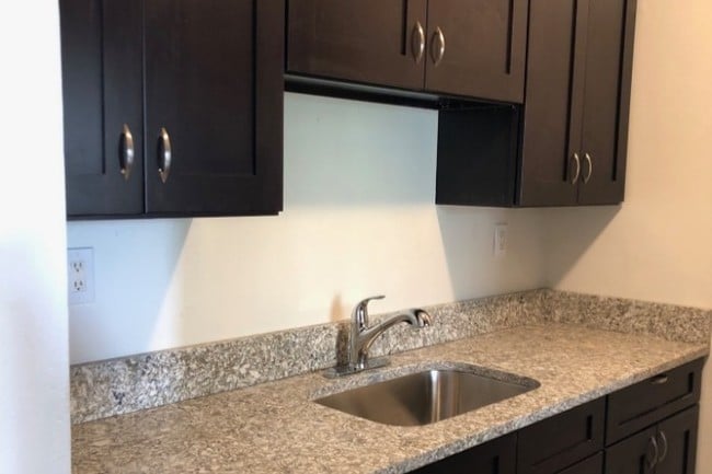 New Kitchen w/ wood cabinets, quartz counters - 667 E 165th St Unit 1
