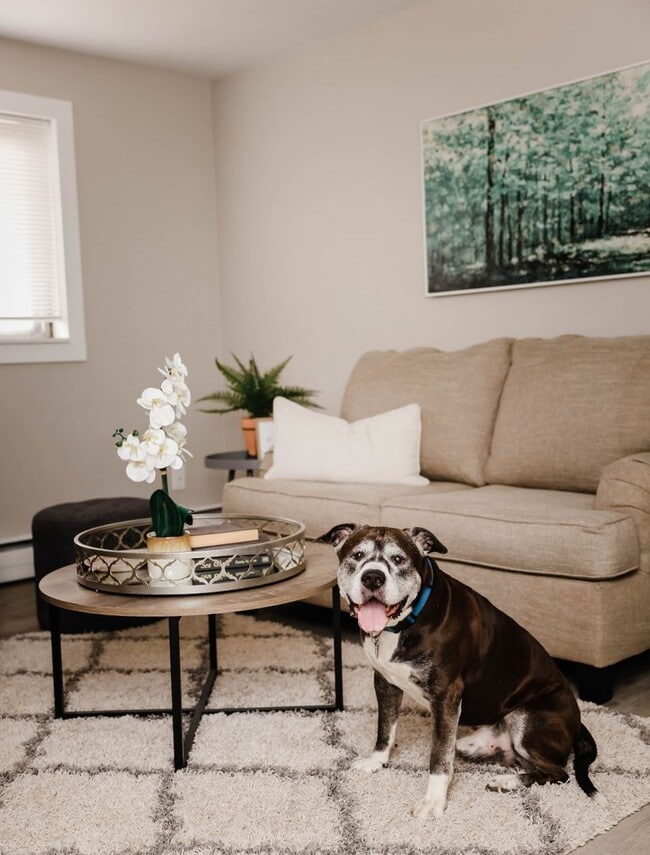 Photo - Highland Park Apartments | Standard 2 Bedroom Unit 1234 Seneca Avenue-3