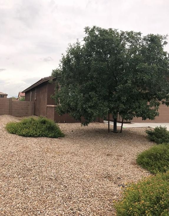 Photo - 10450 S Cutting Horse Dr