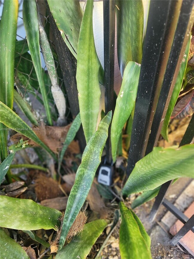 Photo - 3680 NW 20th Ct Unit 1