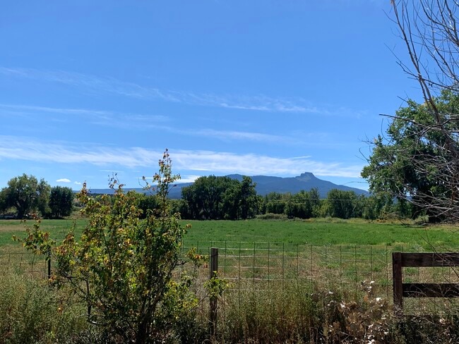 Photo - 15800 Co Rd 75