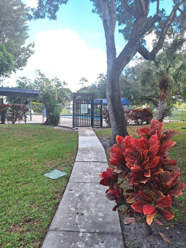 Photo - 9441 Live Oak Pl Unidad 207