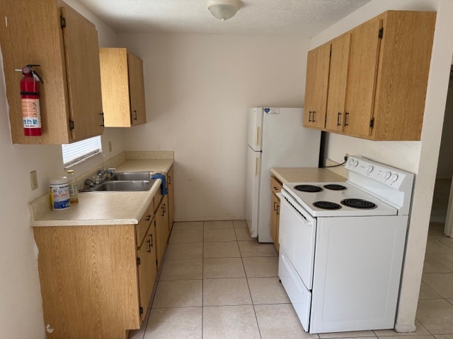 Photo - 10 Plumosa St