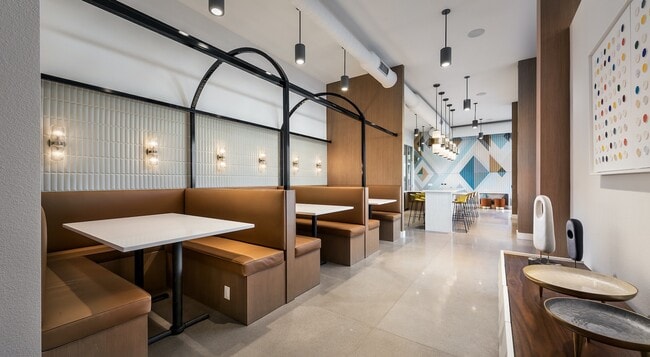 Photo - Roadrunner on McDowell