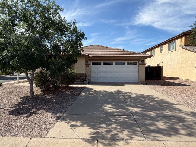 Building Photo - 2459 W Colt Ct