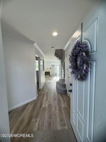 Photo - 16 Gerard Pl