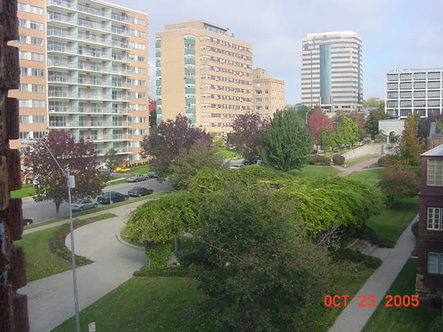 807 W 48th St Unit # 401