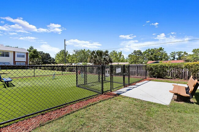 Dog Park