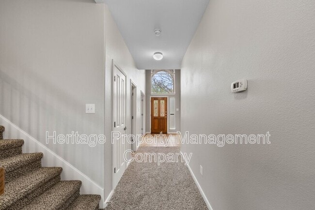 Photo - 25723 Coleus