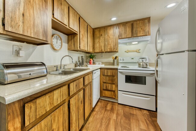 Connect on Northern Apartments