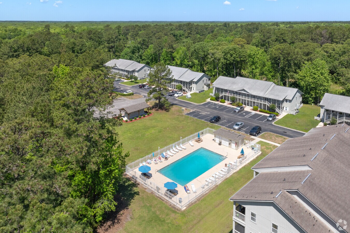 Aerial pool view. - Green Tree