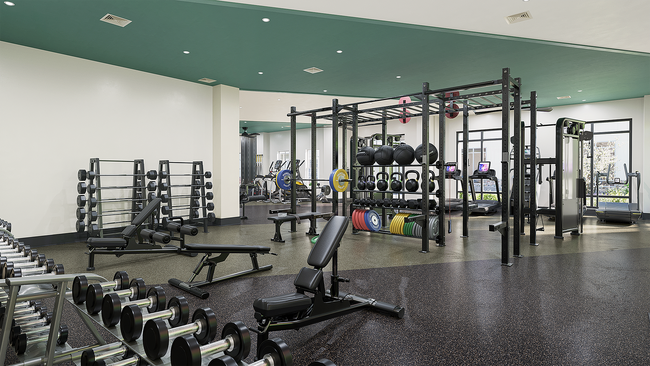 Fitness Center - The Standard at Four Corners