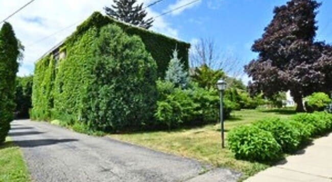 Building Photo - 91 W Crystal Lake Ave Rental