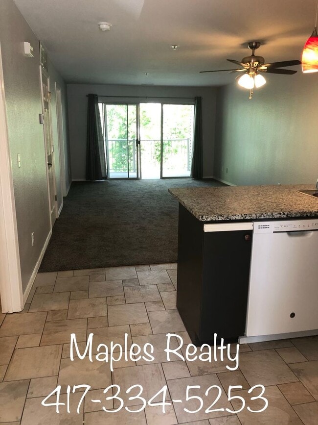 Building Photo - VERY NICE 2 bed, 2 bath Branson CONDO For ...