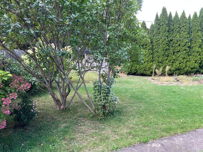 Photo - 59 Melody Trl